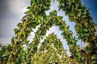 Epicframe Studio - 11