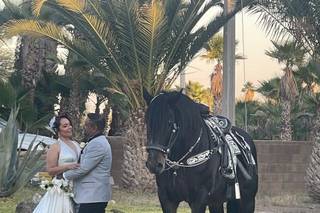 La Española Centro de Convenciones - 8