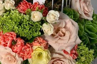 La Fiore Gran Escala - 9