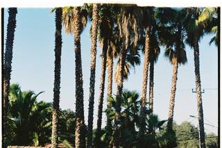 Club Campestre Tecate - 15