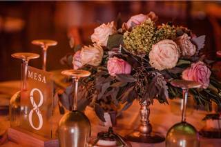 El Paraíso de las Flores - 6