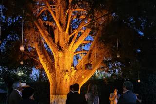 Best Western Plus Posada de Don Vasco - 5