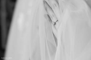 Ornamentum - 4