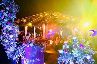 El Paraíso de las Flores - 8