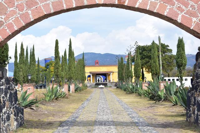 Hacienda La Gioconda - 3