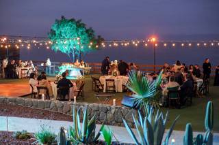 Patio Aves del Paraíso - 13