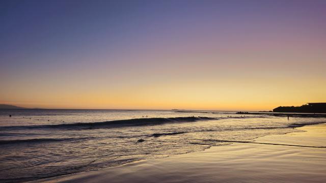 Grand Palladium Vallarta Resort & Spa - 4