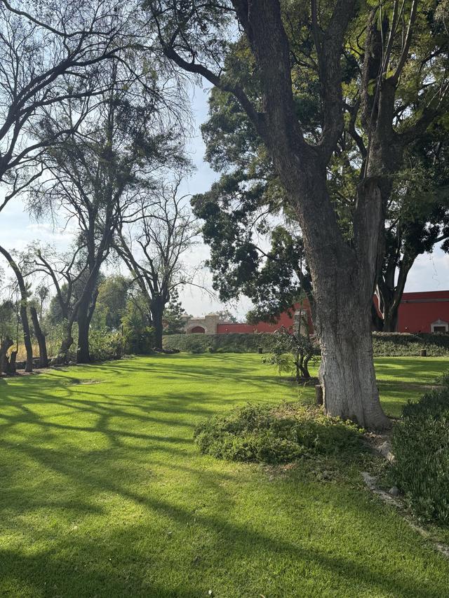 Hacienda Xahuentla - 2