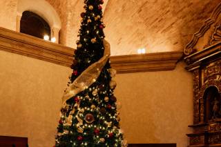 Karen Mireles Photography - 6