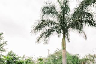 Jardín Los Amates - 6