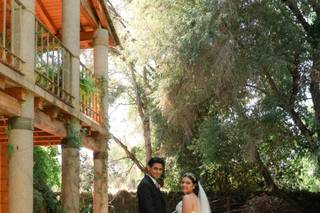 Jardín de Los Olivos - 6