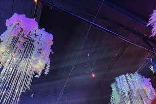 Eventos Especiales Flores y Detalles - 2