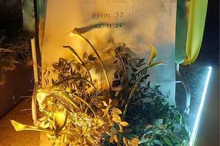 Mónica Planner - 16