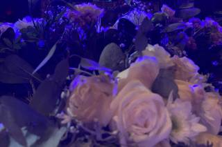 Eventos & Banquetes Luna - 14