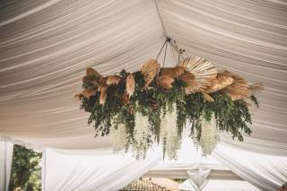 Bodas y Eventos Mascota - 22