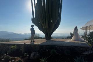 Jardines de México - 16