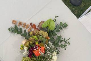 Hacienda Cachas de Oro - 27