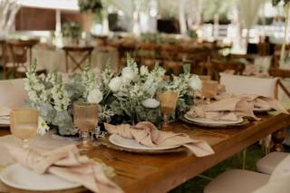 Gardenza Eventos - 6