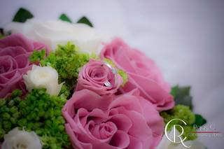 Rojas C Fotografía - 5