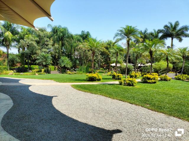 Selvia by Grupo Paraíso - 3