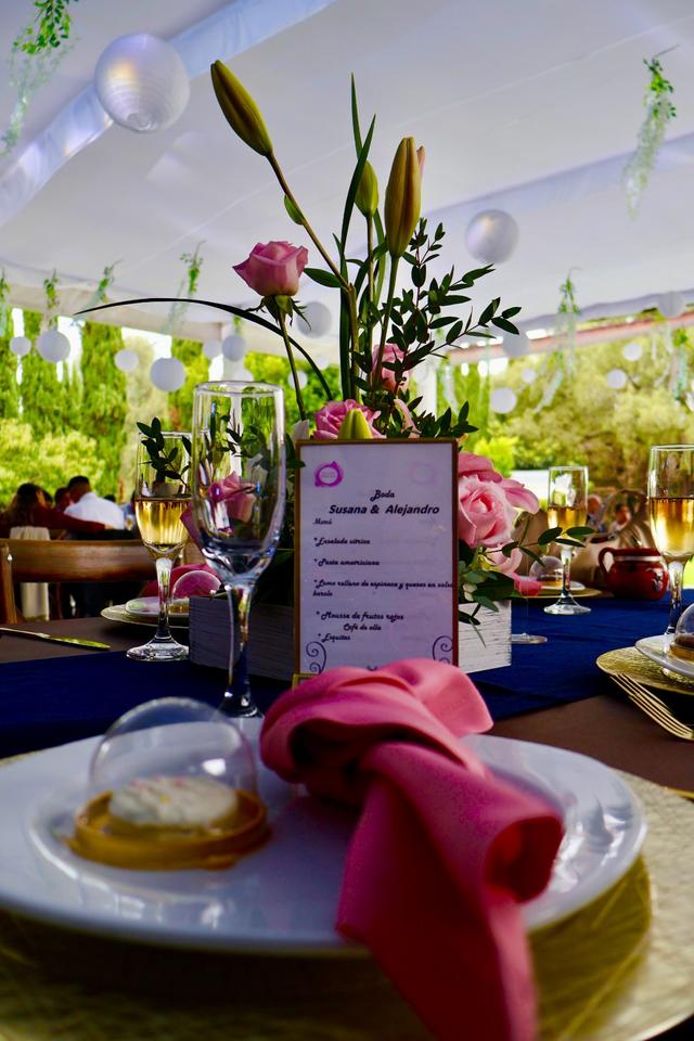 Jardín Picasso - 2