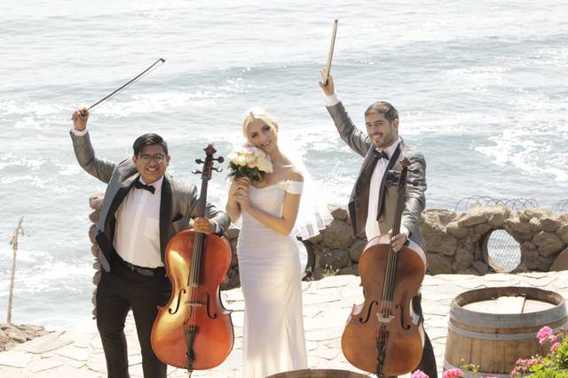 Rojan Dos Cellos 5