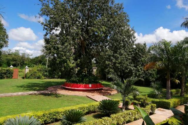 Hacienda Yabucú 4