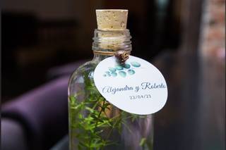 BioBotellas - 1