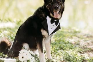 A&A Fotografía - 27