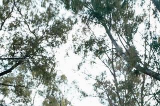 Producciones Élite - 7