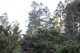 Cuarto Blanco - 6
