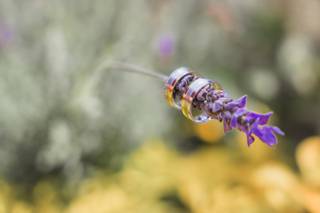 Mauricio Renteria Fotografía - 6