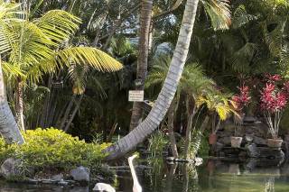 Jardín de Cortés - 12