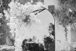 Efímero Eventos - 6