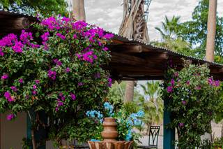 Hacienda Santa Lucía - 7