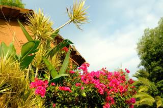 Ex Hacienda San José - 8