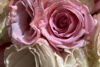 MAJO Taller Floral - 5