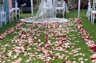 Meilé Bodas Concierge - 22