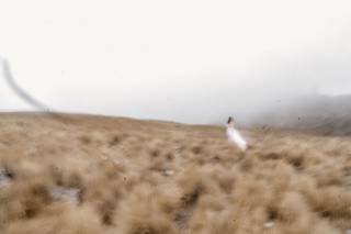 Dorian Weddings - 22