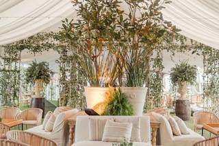 24Siete Eventos - 14