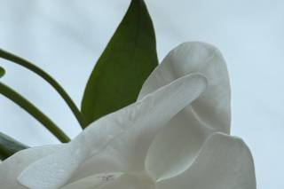 Florería Arte & Diseño - 6