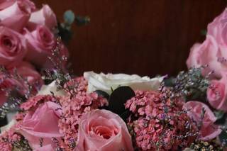 Verbena Flores - 15