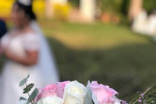 Florería Roberts - 6