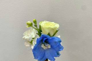 13 Flores - 6