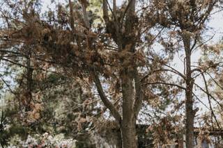 Ex Hacienda San José - 27