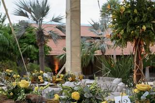 Margarita Zoreda - 6