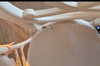 Eventos Santa Clara - 5