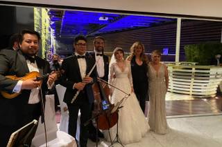 Seratta Violines - 5