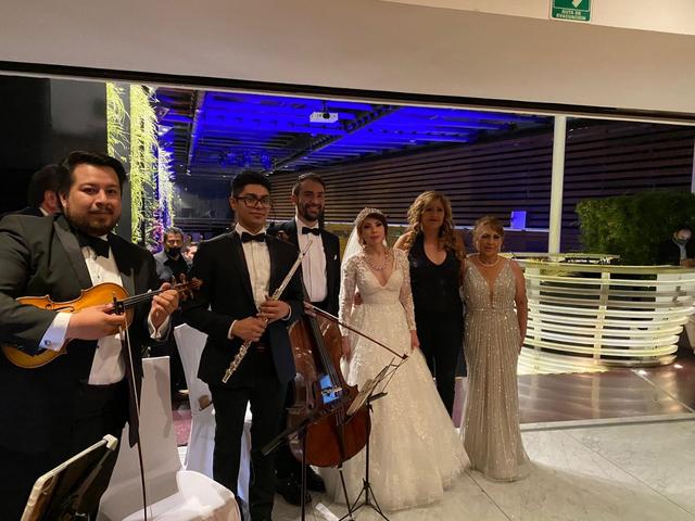 Seratta Violines - 1