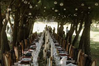 Mónica Planner - 11